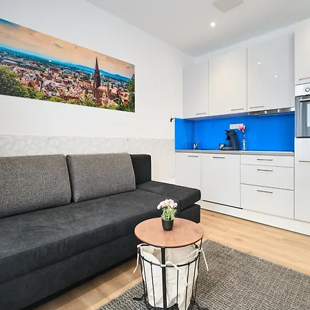Deluxe Apartments Friedrichstrasse Freiburg im Breisgau Zimmer foto