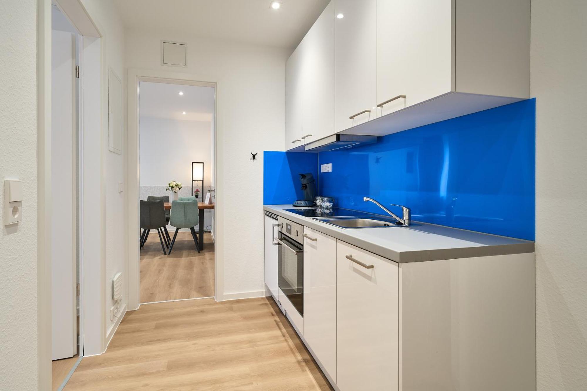 Deluxe Friedrichstrasse Apartment Freiburg im Breisgau