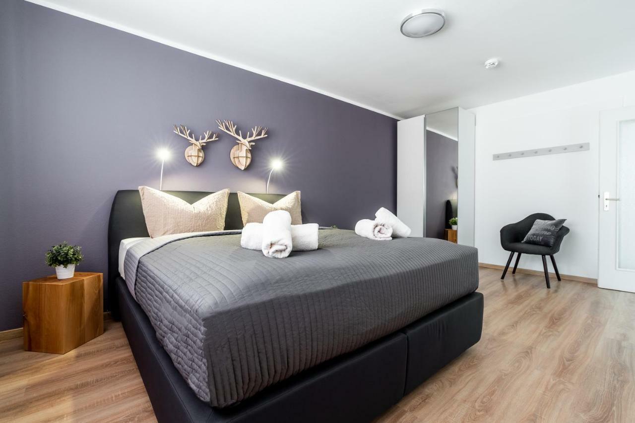Deluxe Friedrichstrasse Apartment Freiburg im Breisgau
